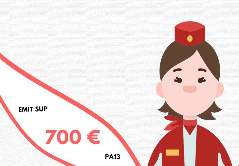 Assistance Hôtesse de 19h à 24h