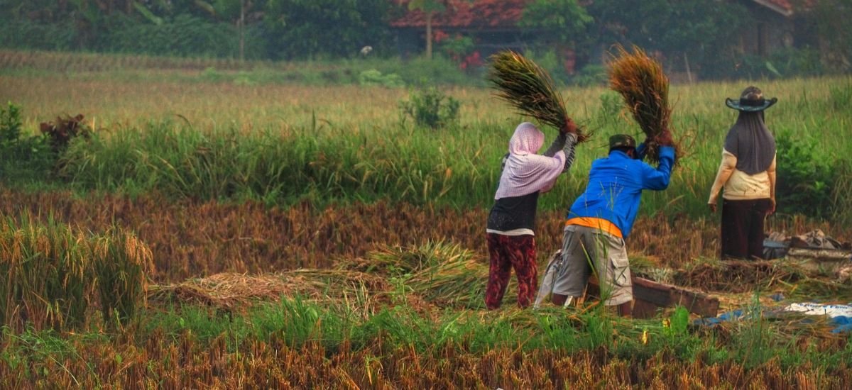 Slider Indonésie Java & Bali