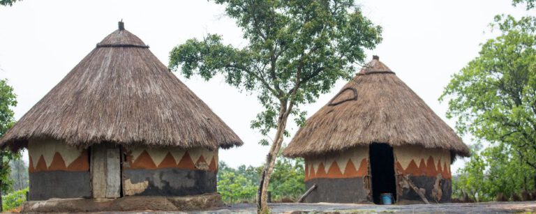 Lire la suite à propos de l’article Togo & Bénin