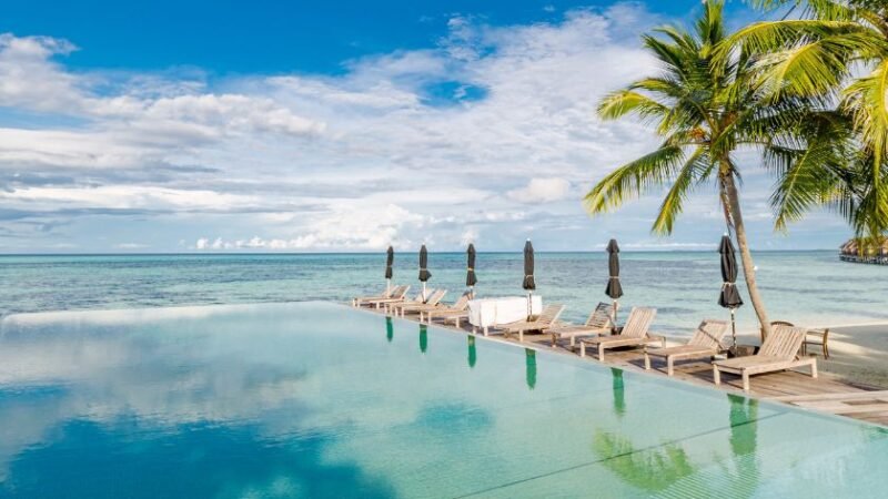 Piscine à débordement au bord de la mer avec transats et palmiers sous un ciel bleu.