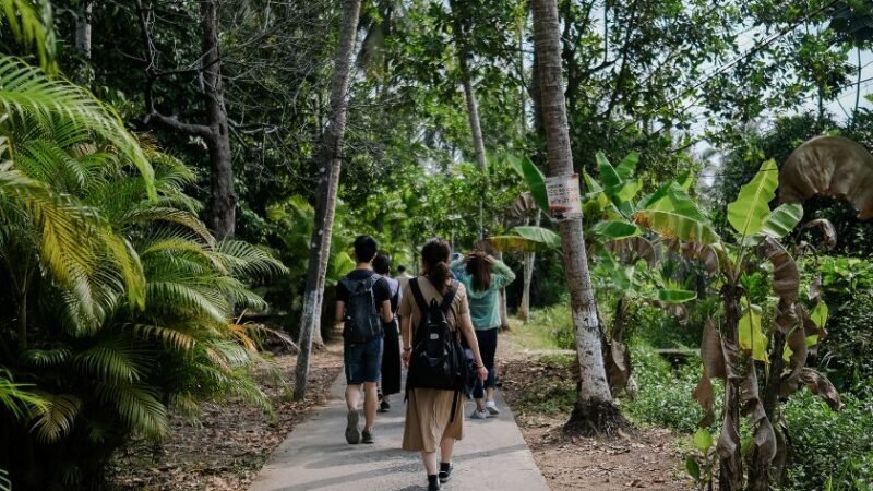 Groupe de voyageurs marchant sur un sentier entouré de végétation tropicale.