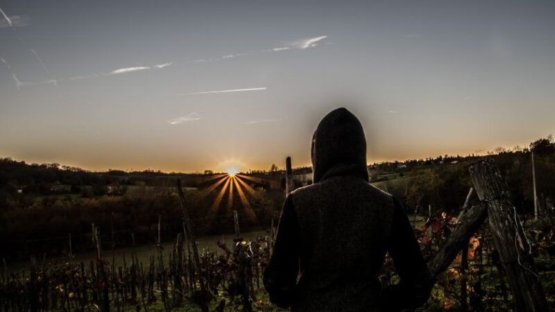 Personne en capuche observant un coucher de soleil sur des vignes.