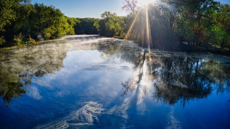 Rivière paisible entourée d’arbres, avec brume matinale et soleil éclatant se reflétant sur l’eau.