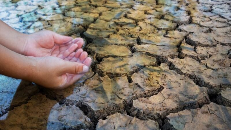 Mains tendues ramassant de l’eau sur un sol craquelé par la sécheresse.