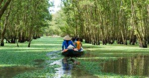 Trois personnes naviguant en barque à travers une forêt inondée couverte de plantes aquatiques vertes, avec un rameur portant un chapeau conique traditionnel asiatique, entourés d’arbres élancés sur une eau calme.