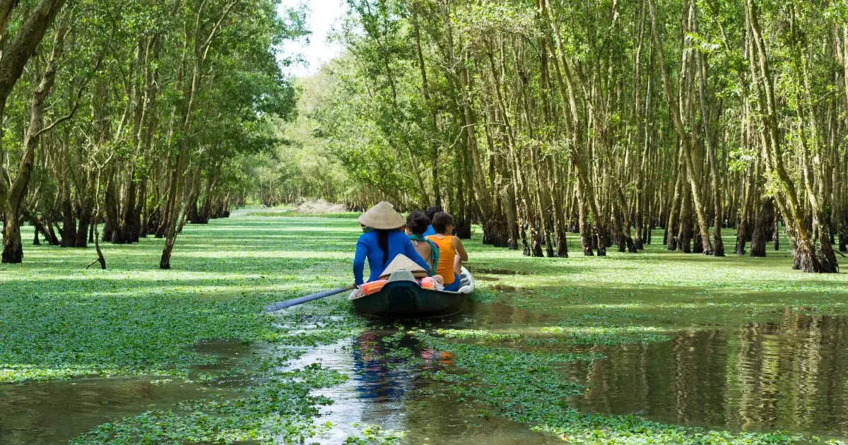 Trois personnes naviguant en barque à travers une forêt inondée couverte de plantes aquatiques vertes, avec un rameur portant un chapeau conique traditionnel asiatique, entourés d’arbres élancés sur une eau calme.