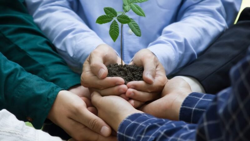 Plusieurs mains unies tenant ensemble une petite plante verte en croissance avec de la terre, symbolisant la protection de l’environnement.