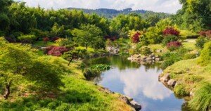 Jardin japonais paisible avec étang, végétation colorée et rochers décoratifs, symbole d’harmonie avec la nature et de tourisme contemplatif.