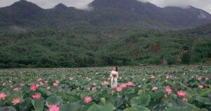 Femme dans un champ de lotus avec des montagnes en arrière-plan.