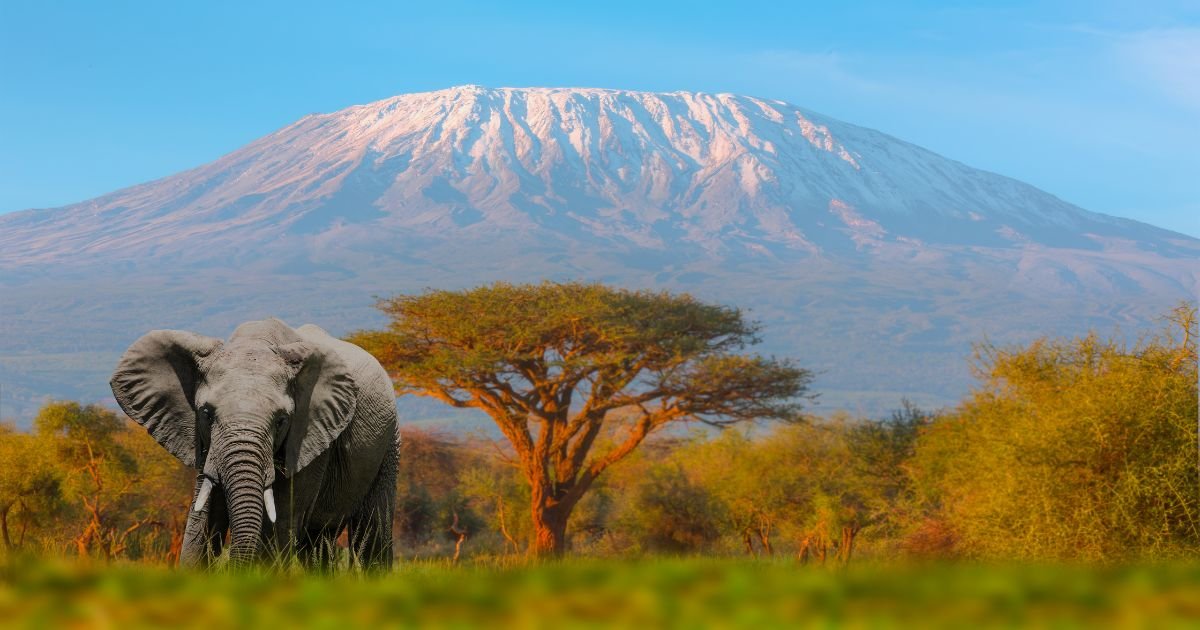 Vous êtes en train de regarder Tanzanie